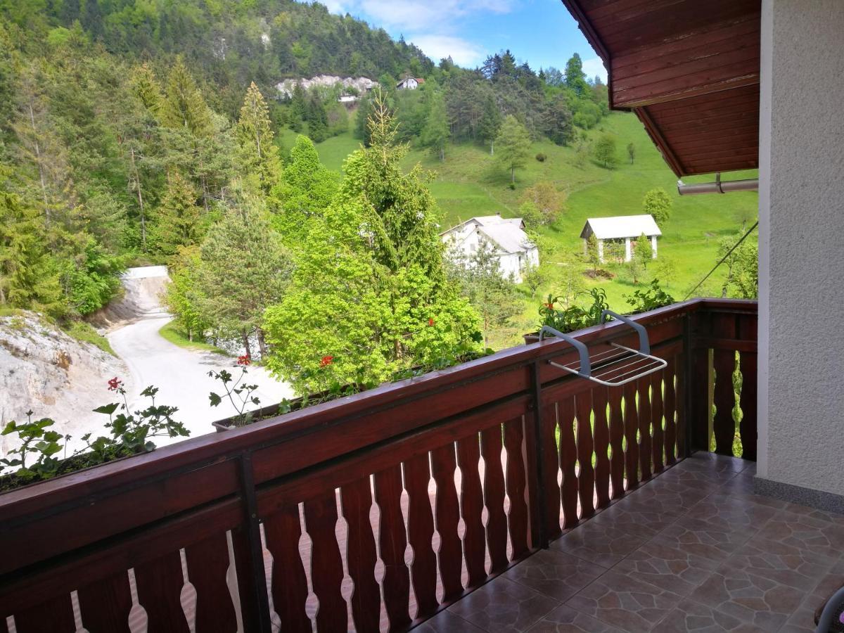 Apartma Teloh Kopacnica Exteriér fotografie